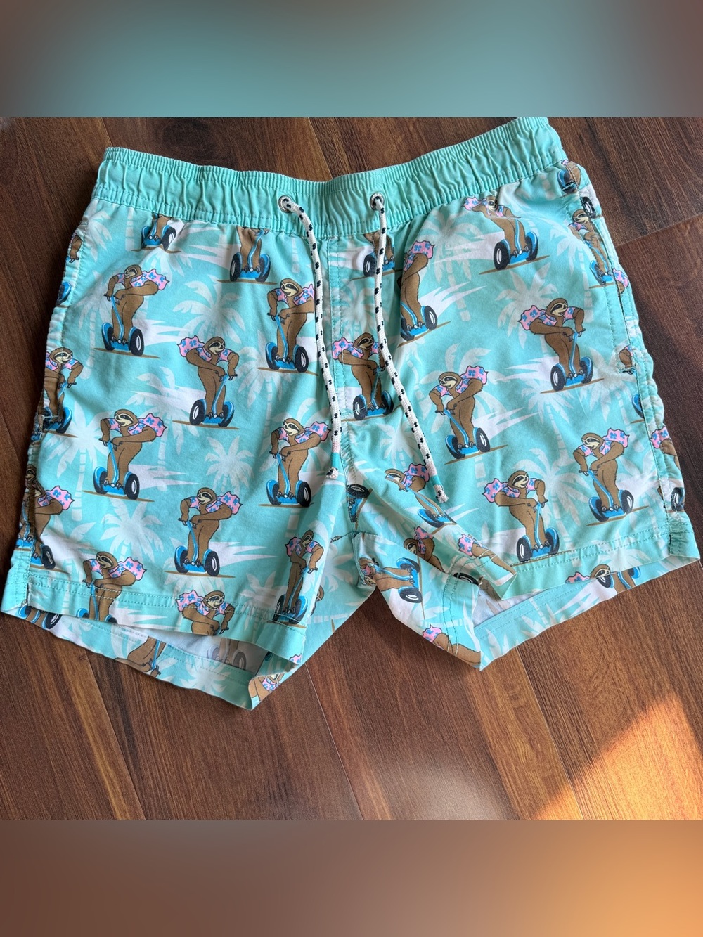 Party Pants Sloth Segway Men’s Unlined Shorts Small
